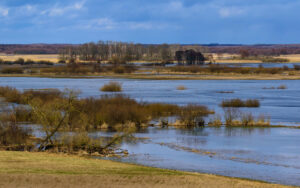 Read more about the article Wiosenne warsztaty przyrodniczo-fotograficzne nad Biebrzą!